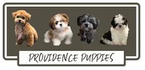 Providence Puppies Logo